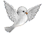 bird2 :bird2: