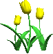 fleur3 :fleur3: